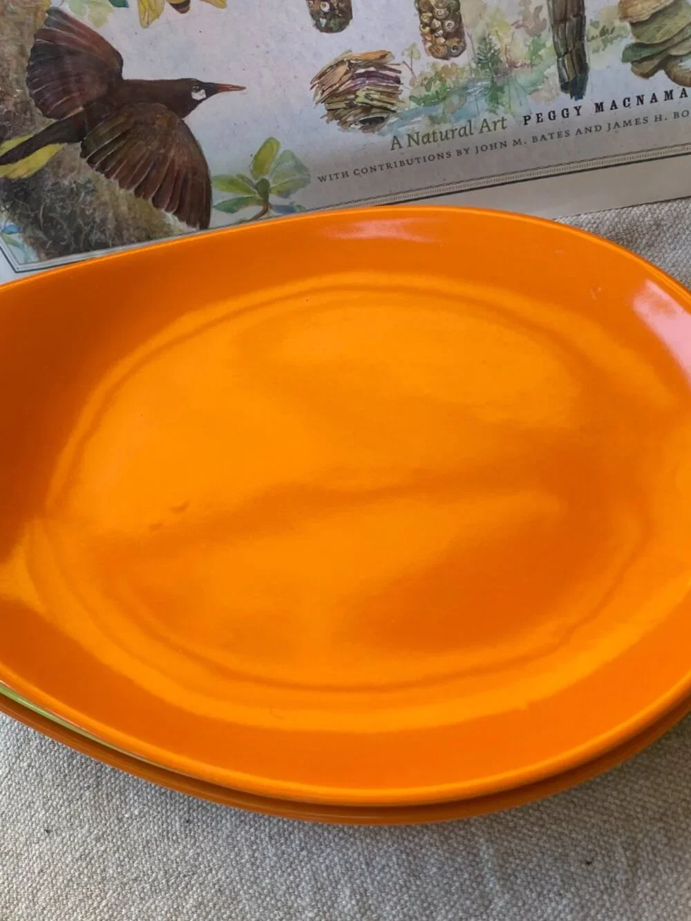 Crate & Barrel Ceramic Oval Egg-Shaped Appetizer Snack Plates - Set of 6